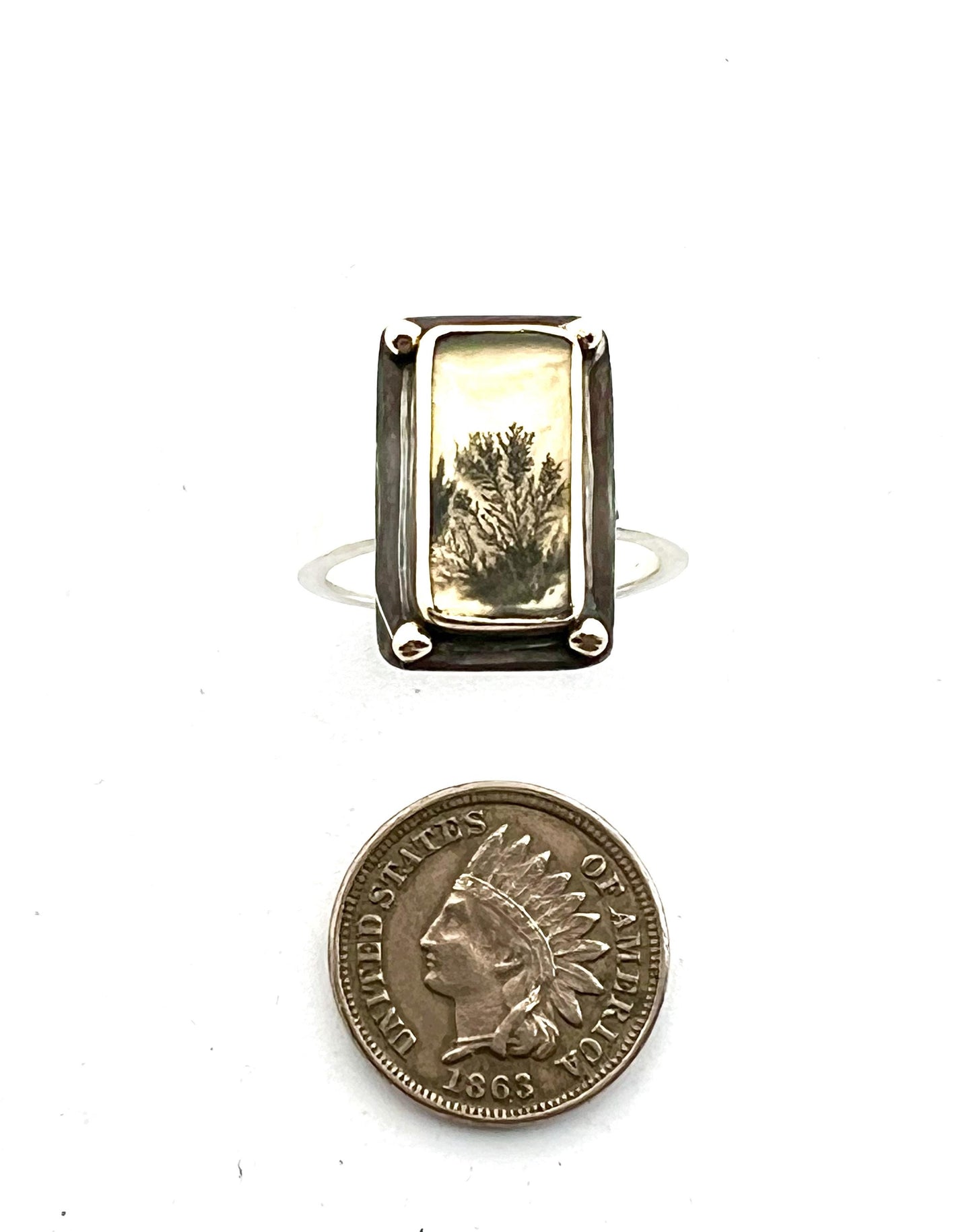 Dendritic Agate Set in 14k Gold with 14k Gold Accents and Sterling Band, OOAK Gemstone Statement ring, Scenic Stone Ring