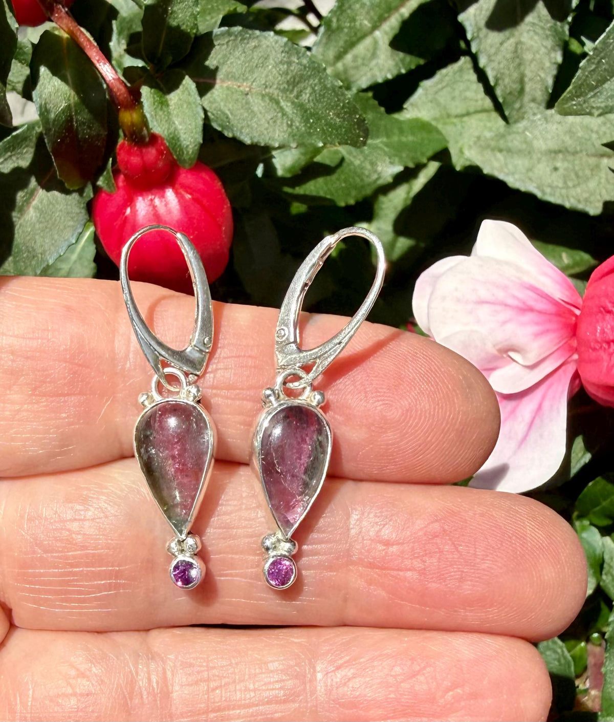 Watermelon Tourmaline Earrings in Sterling Silver