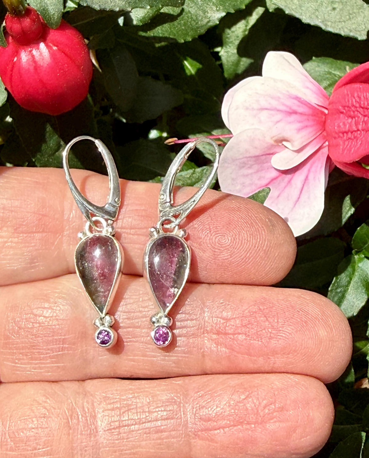 Watermelon Tourmaline Earrings in Sterling Silver