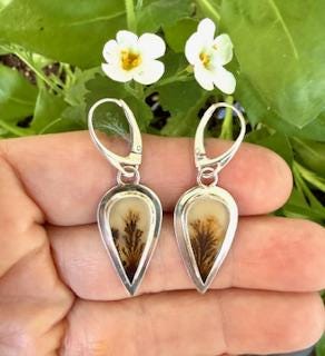 Dendritic agate earrings in sterling silver