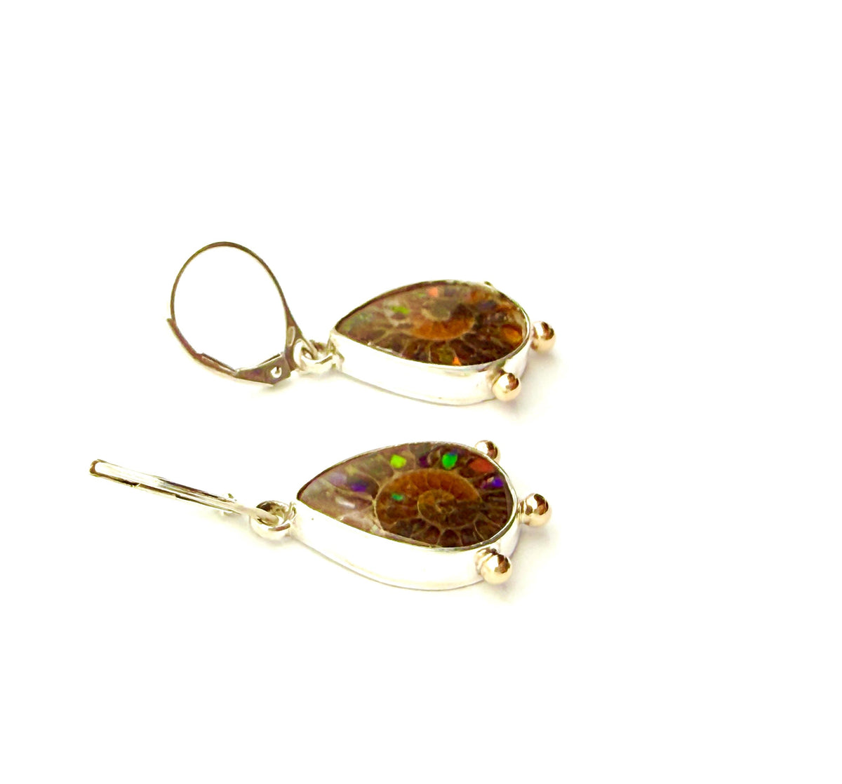 Ammonite Fossil Earrings with Ammolite Inlay and 14k details