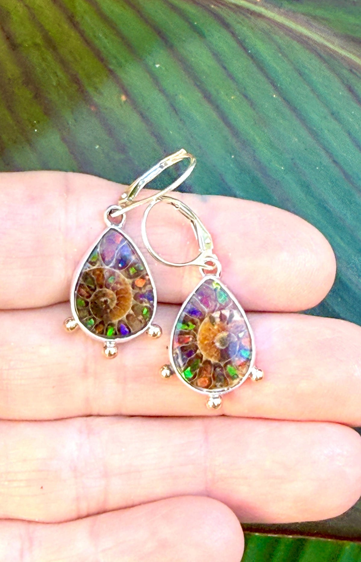 Ammonite Fossil Earrings with Ammolite Inlay and 14k details