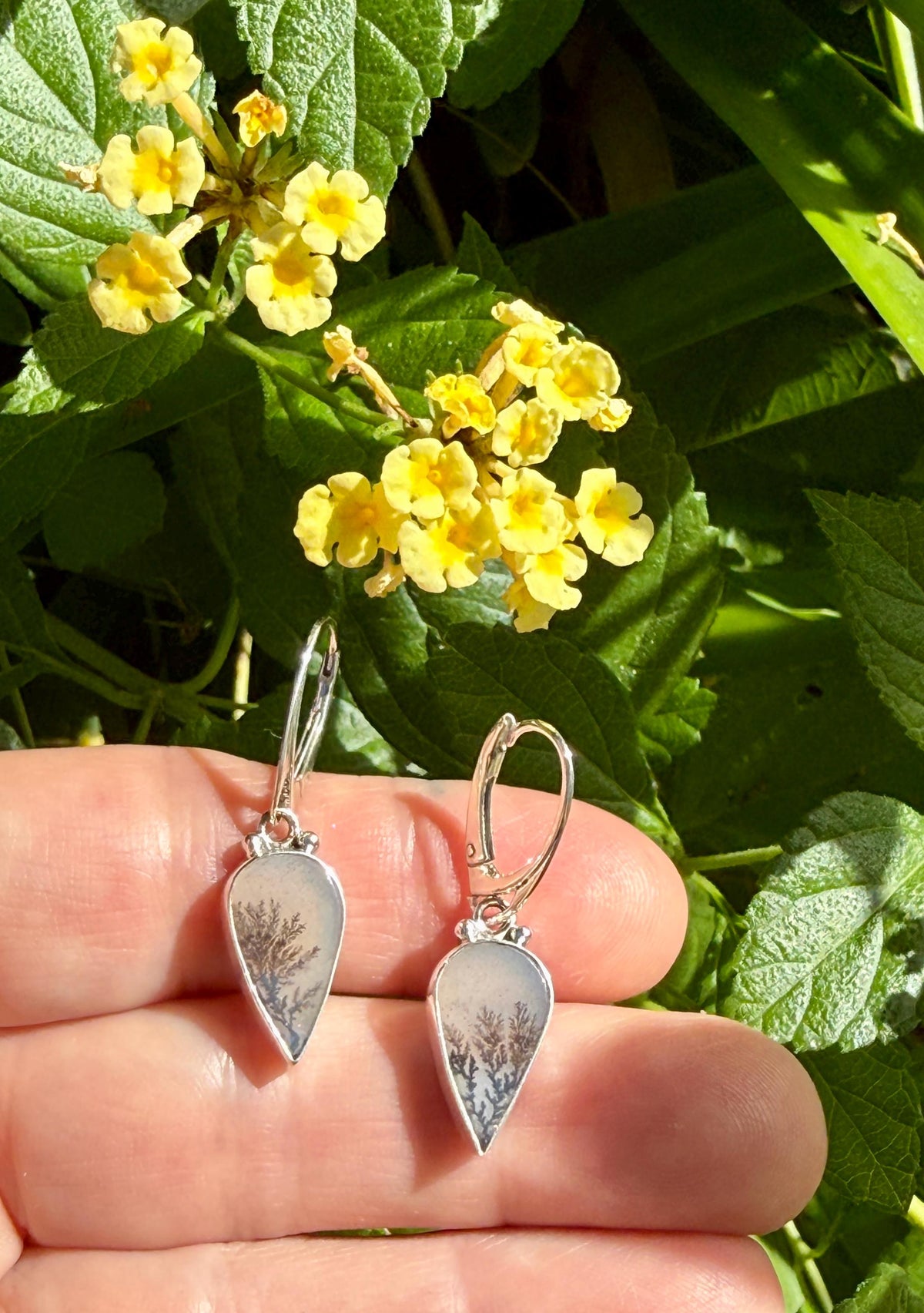 Dendritic Agate Teardrop Earrings in Sterling Silver