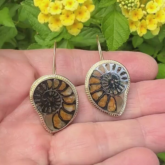 Ammonite Fossil Earrings in 14k Gold, Nature Lover Fine Jewelry, OOAK Gold Boho Earrings