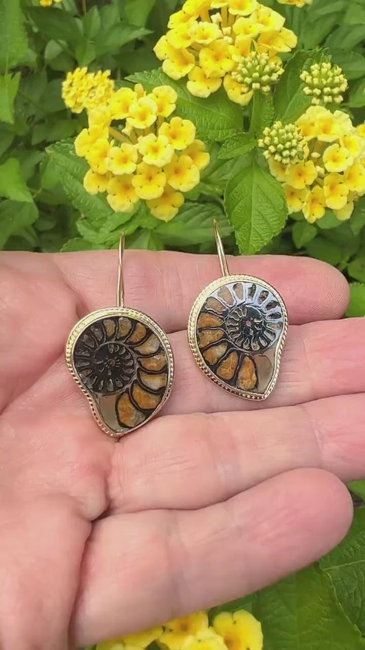 Ammonite Fossil Earrings in 14k Gold, Nature Lover Fine Jewelry, OOAK Gold Boho Earrings