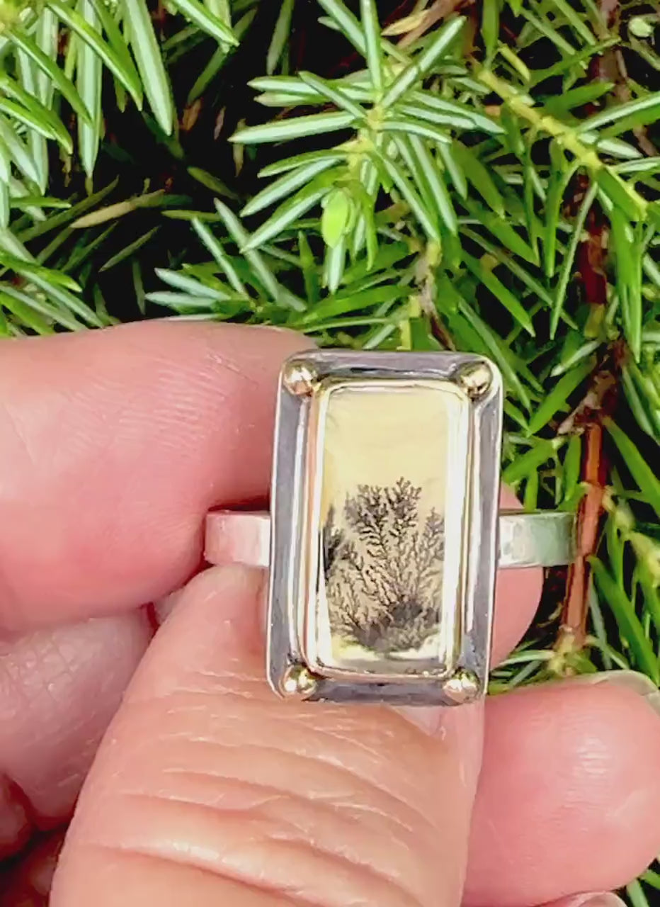 Dendritic Agate Set in 14k Gold with 14k Gold Accents and Sterling Band, OOAK Gemstone Statement ring, Scenic Stone Ring