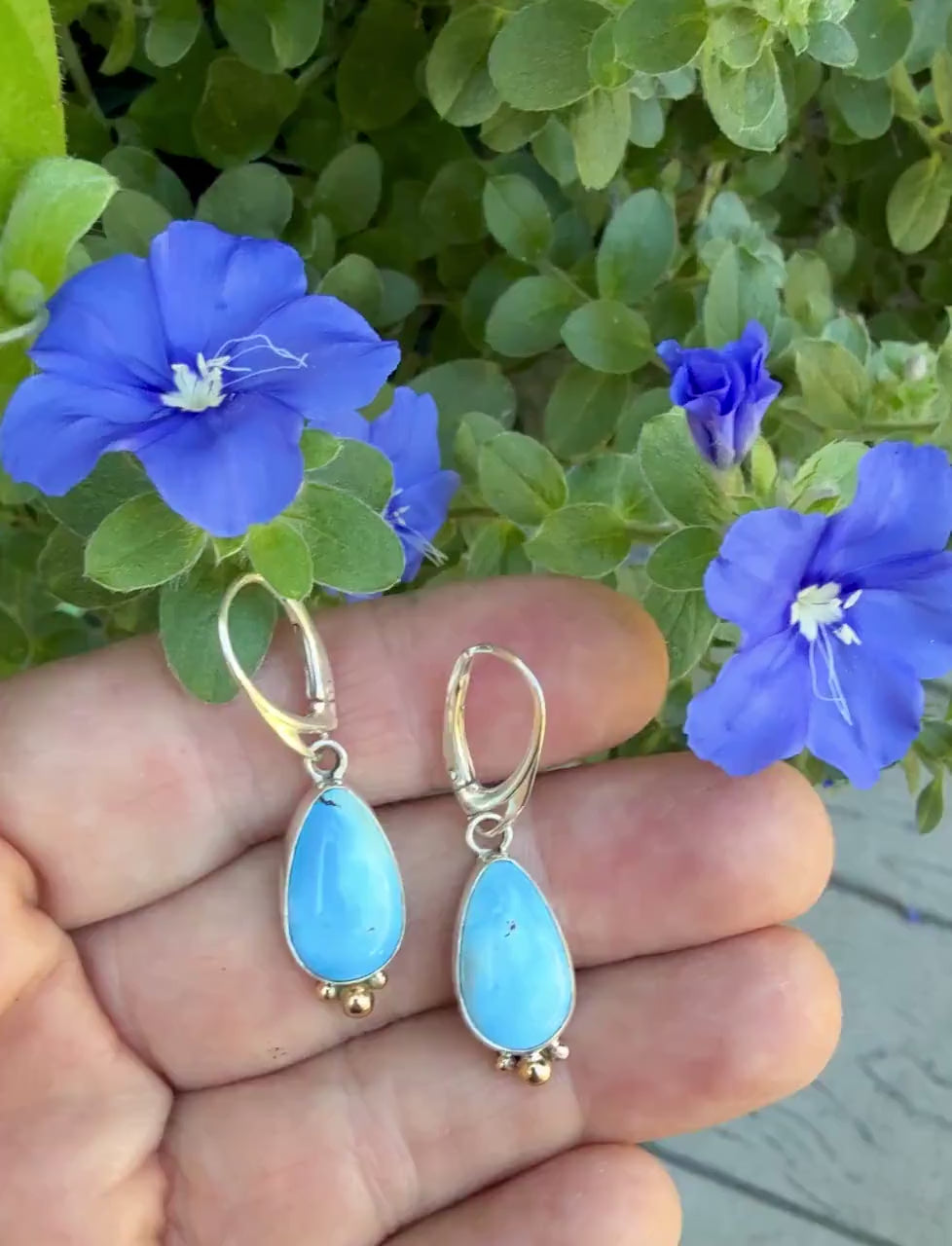 Kazakhstan Turquoise earrings, Golden Hills Turquoise Teardrop Earrings in Silver and Gold