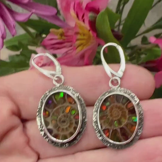 Ammonite Fossils Inlaid with Ammolite Sterling Silver Earrings, Fossil Jewelry, OOAK Rare Stone Earrings