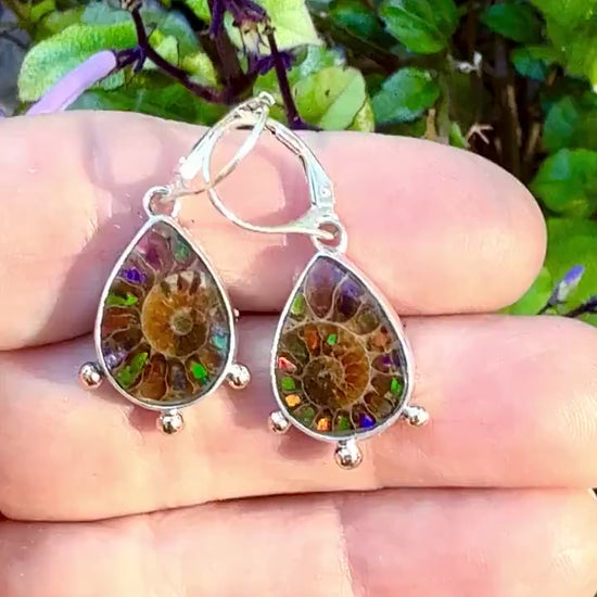 Ammonite Fossil Earrings with Ammolite Inlay and 14k details