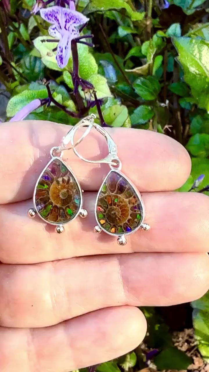 Ammonite Fossil Earrings with Ammolite Inlay and 14k details