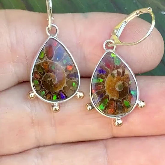 Ammonite Fossil Earrings with Ammolite Inlay and 14k details