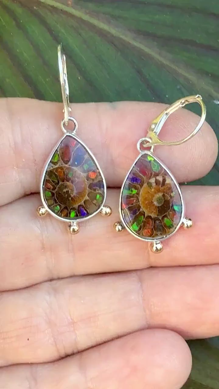 Ammonite Fossil Earrings with Ammolite Inlay and 14k details