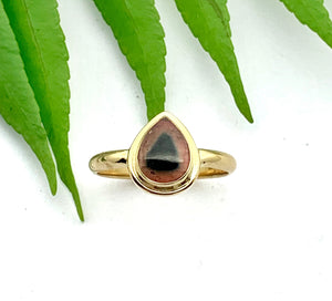 Watermelon Tourmaline Ring in 14k Gold