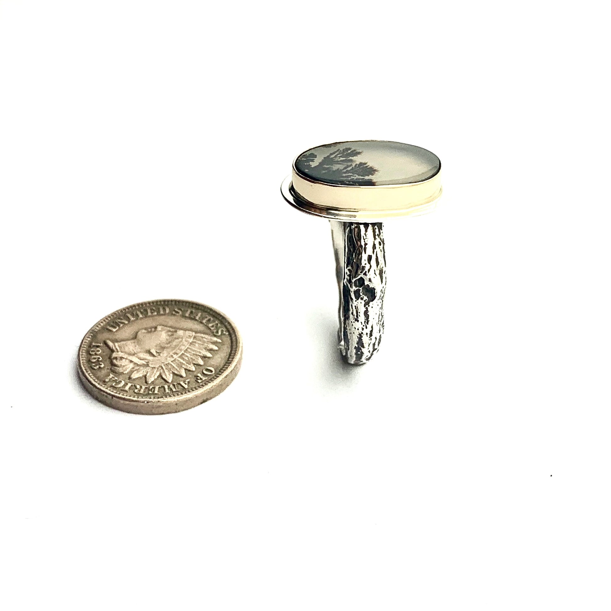 Dendritic Agate in 14k gold and silver