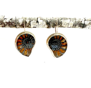 Ammonite Fossil Earrings in 14k Gold, Nature Lover Fine Jewelry, OOAK Gold Boho Earrings