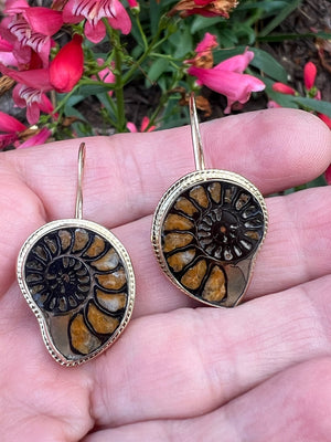 Ammonite Fossil Earrings in 14k Gold, Nature Lover Fine Jewelry, OOAK Gold Boho Earrings