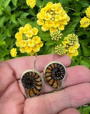 Ammonite Fossil Earrings in 14k Gold, Nature Lover Fine Jewelry, OOAK Gold Boho Earrings