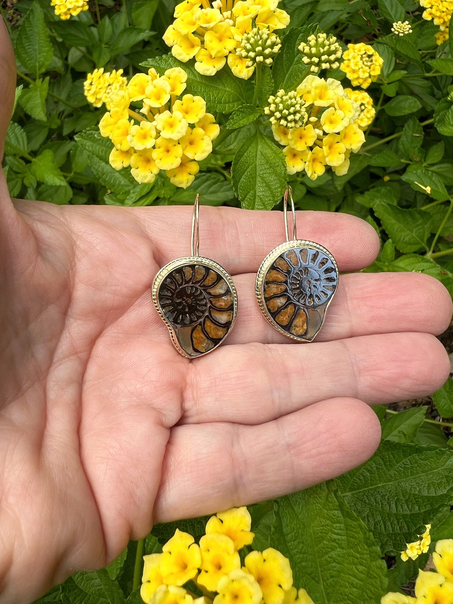 Ammonite Fossil Earrings in 14k Gold, Nature Lover Fine Jewelry, OOAK Gold Boho Earrings