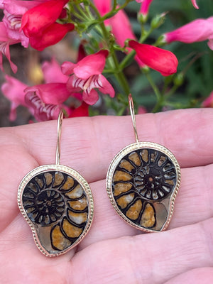 Ammonite Fossil Earrings in 14k Gold, Nature Lover Fine Jewelry, OOAK Gold Boho Earrings