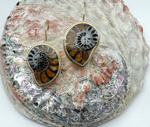 Ammonite Fossil Earrings in 14k Gold, Nature Lover Fine Jewelry, OOAK Gold Boho Earrings